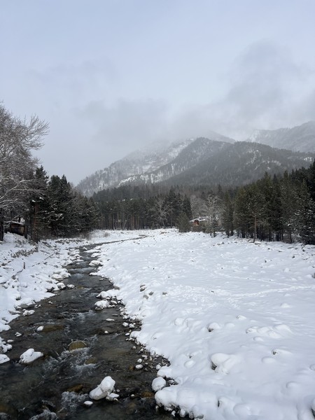 Из Иркутска - в Аршан, к подножию сибирских Альп (Ирина)