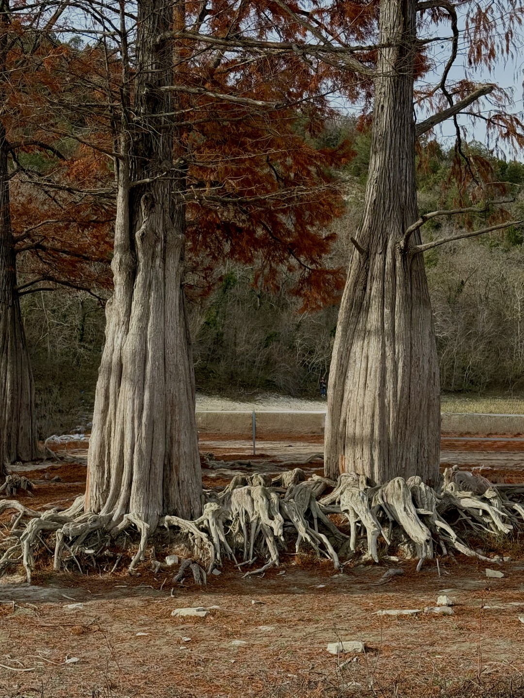 Юлия один из немногих очень хороших гидов! Бываю сама много где и сравнить есть с кем