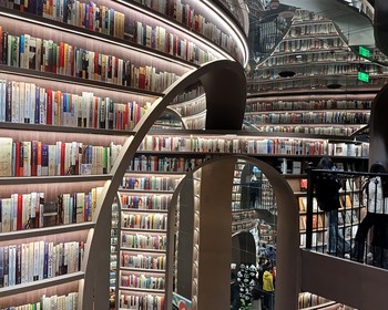 Дуцзянъянь