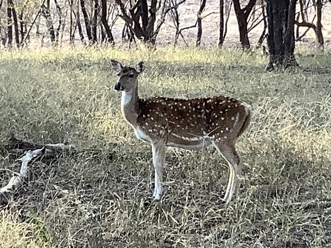 Огромное спасибо Анису- он супер гид и замечательный человек!!!