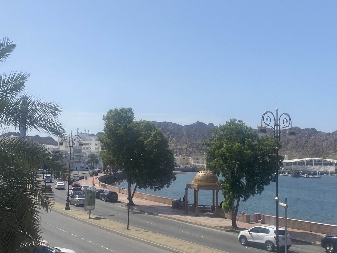 Прекрасная обзорная экскурсия по Маскату и в целом о стране Оман. Вас ждет много интересной информации о этой стране. Мне очень понравилось. и