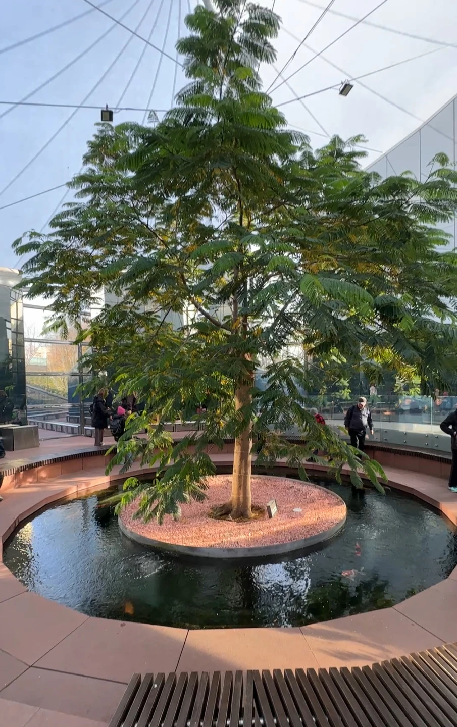 Бронировала экскурсию для мамы (возраст 69 лет), отзыв пишу с её слов: