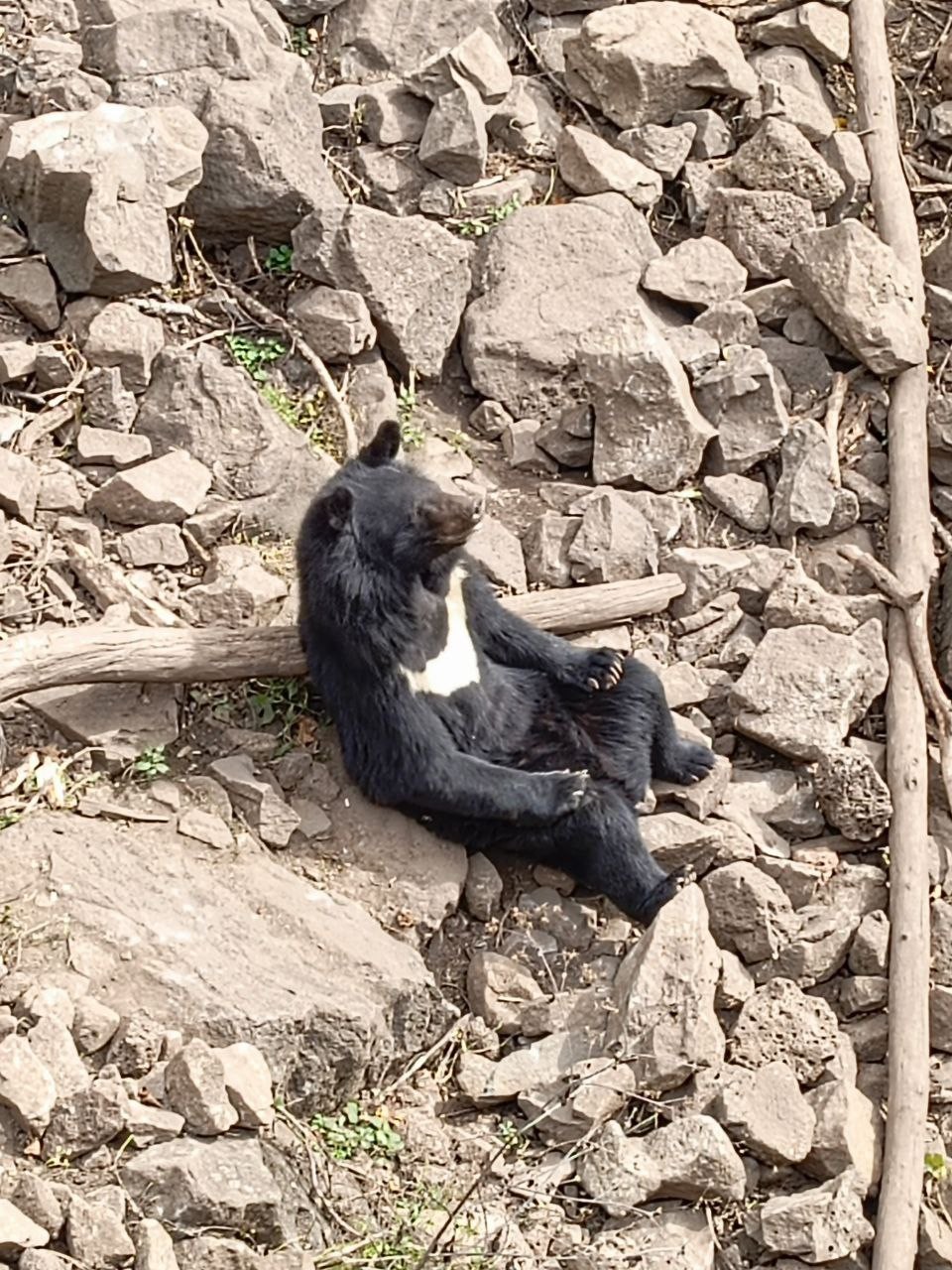 Сафари-парк и три бухты: Муравьиная, Шамора и Стеклянная (в мини-группе) (Ольга)