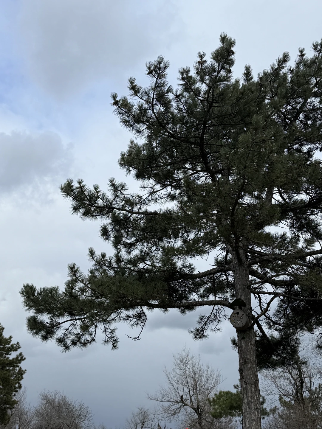 Все понравилось! Комфортная поездка и познавательная экскурсия. Цель была познакомиться с городом и увидеть самые значимые места, справились на 💯🙂