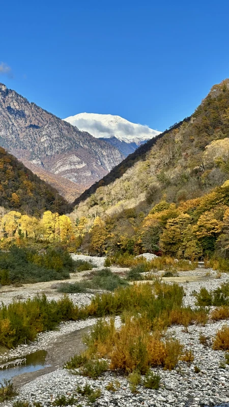 Из Гагры на озеро Рица + цитрусовые сады