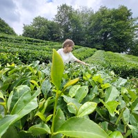 Фото отзыва 2: экскурсия "Знакомый незнакомый Сочи"