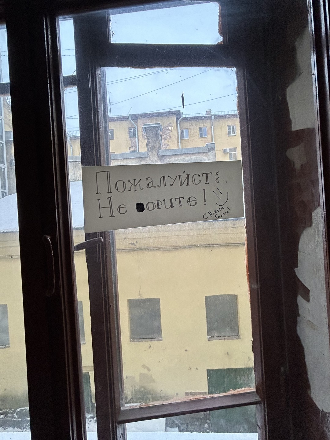 По Литейной части Петербурга - с фланёром (Терехина)