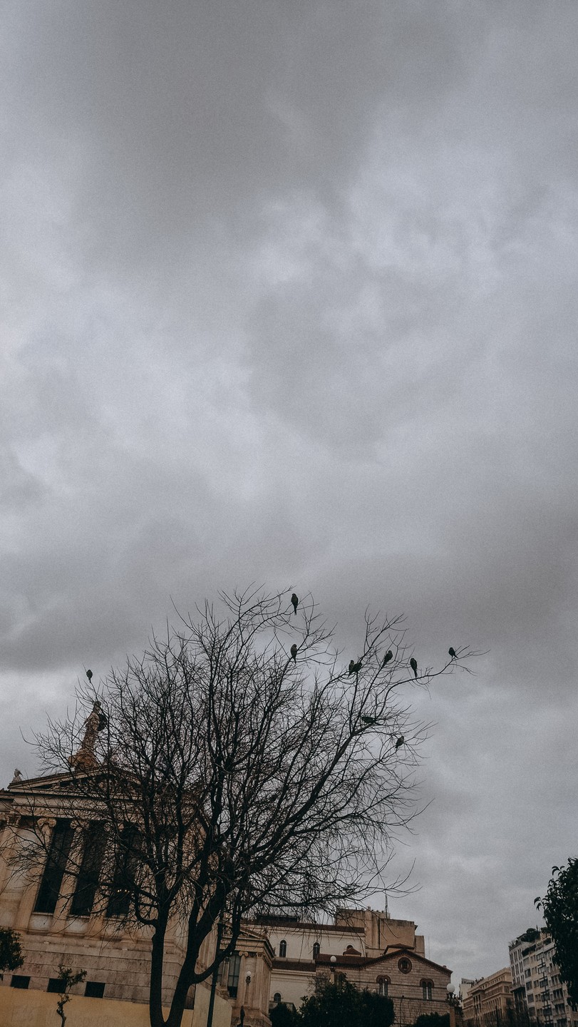 Гуляли по району Exarchia. Экскурсия получилась очень приятной, даже несмотря на не самую удачную погоду -