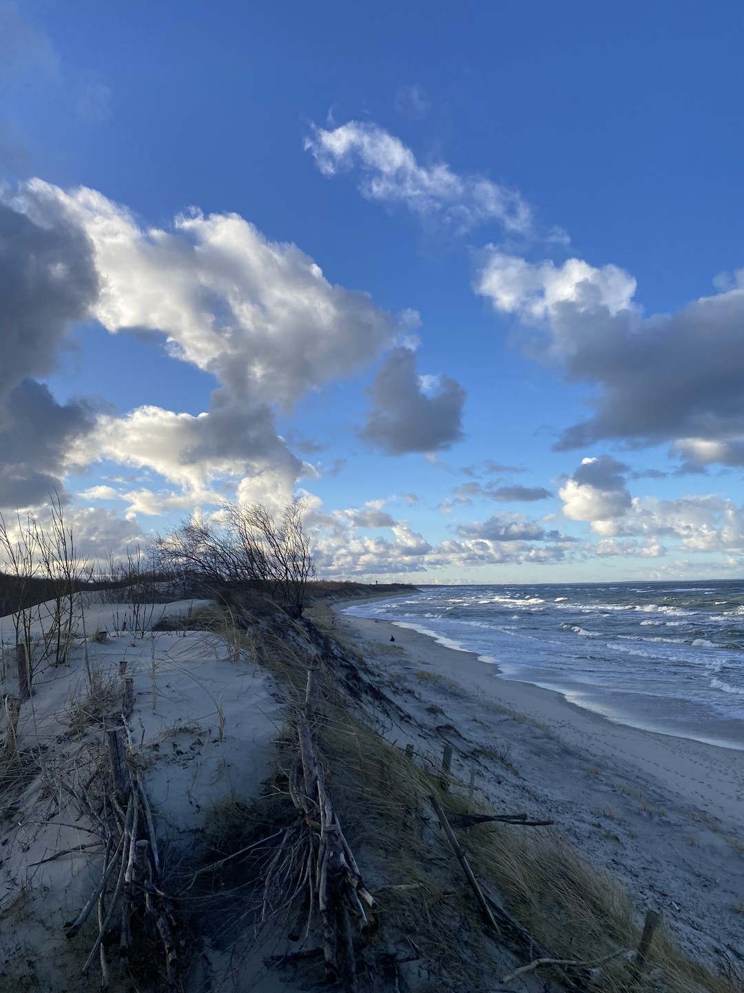 Оказалось, это прекрасная идея - сразу из аэропорта поехать на Куршскую косу! Прекрасная машина, Игорь -