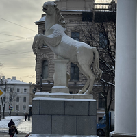Фото туриста Марина 2 - Иммерсивная прогулка по центру Петербурга