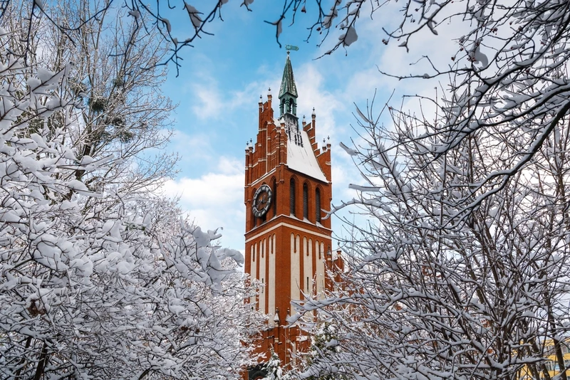 Калининградское наследие Восточной Пруссии: немецкая архитектура Раушена, Кёнигсберга, Пиллау