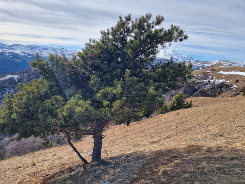 Сильная энергетика гор, живописная природа на протяжении всего пути. Спасибо гиду Исламу за весёлую и непринужденную беседу и аккуратное вождение