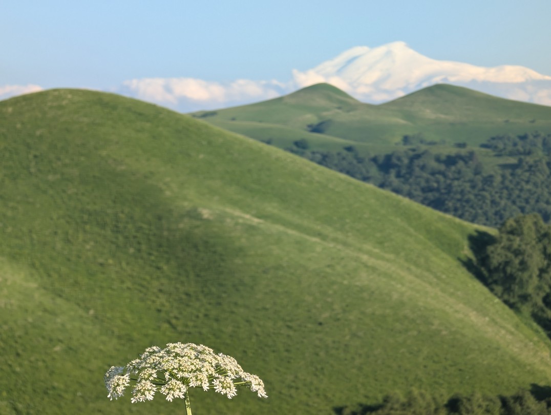 Виктор, самые лучшие рекомендации!
