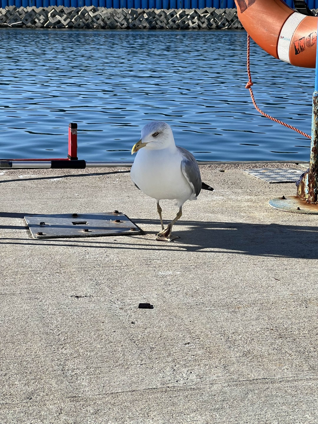 Капитан Константин и яхта Алисия - воплощение стиля и эстетики. Настолько приятное и комфортное было это