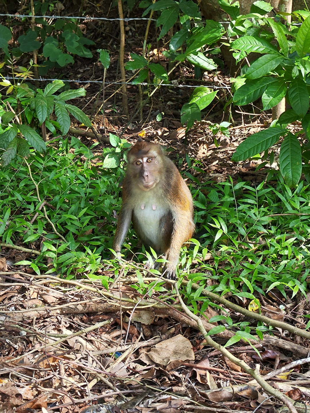 Как же классно, когда можешь в далёкой стране общаться с человеком на родном языке, спросить его о чем угодно по ходу экскурсии и получить ответ!