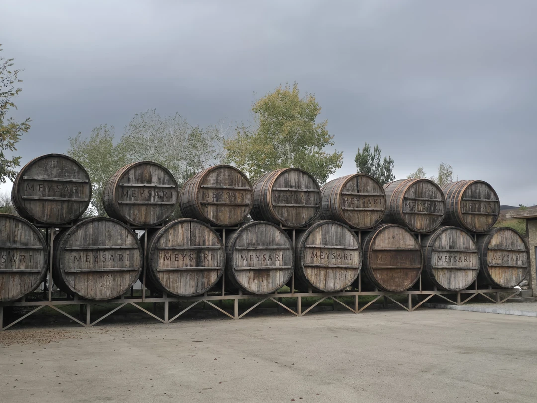 Добрый день! Хочу поблагодарить нашего гида Теймура (коллегу Рашада) за потрясающий опыт, который он подарил мне