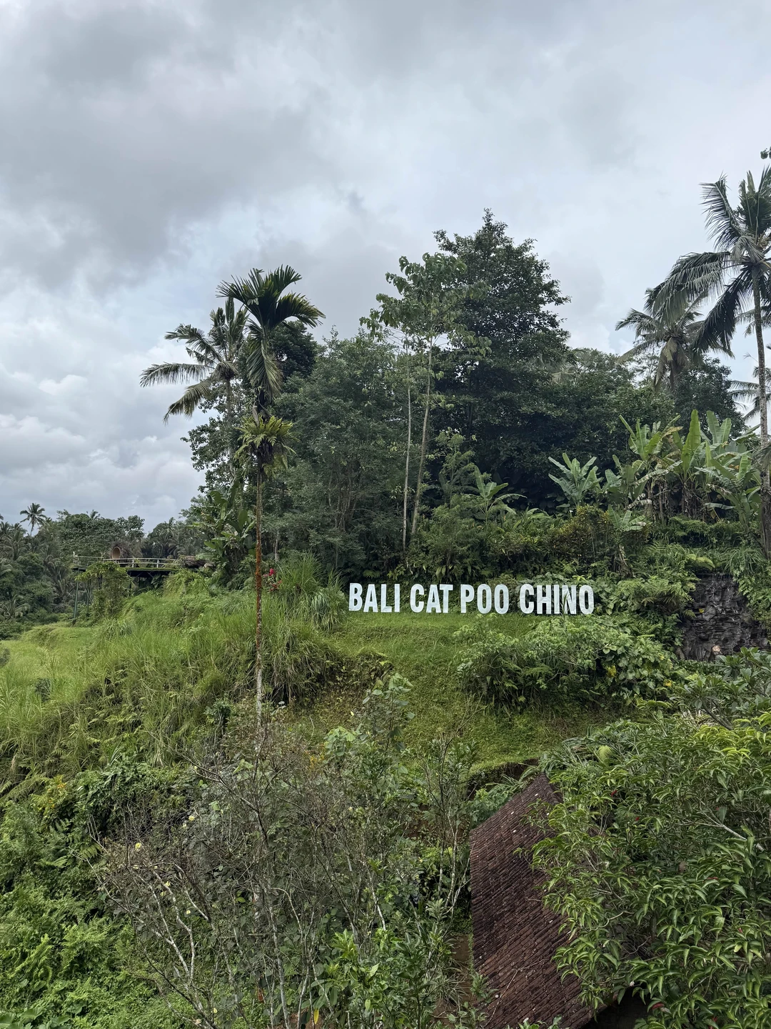 Влюбиться в волшебный Бали за 1 день (Елена)