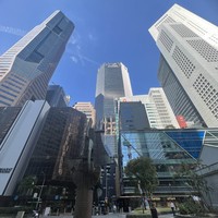 Фото отзыва 2: экскурсия "Сингапурский калейдоскоп"