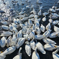 Фото отзыва 3: экскурсия ""