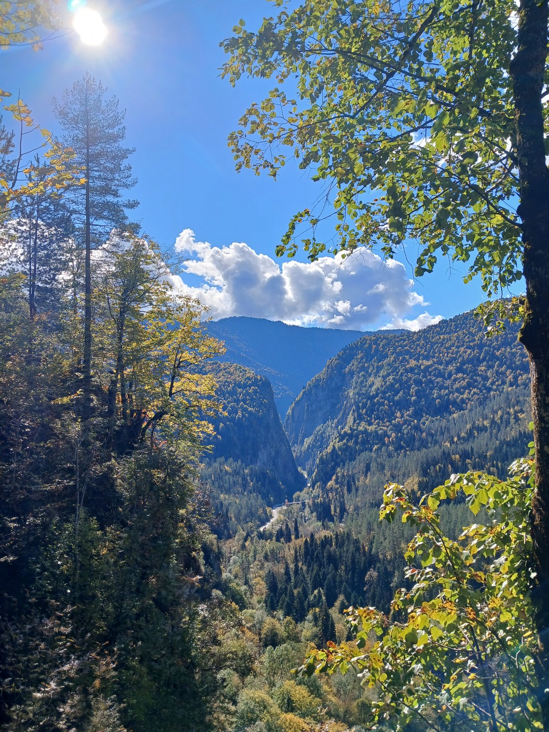 Путешествие на озеро Рица из Гагры (Лариса)