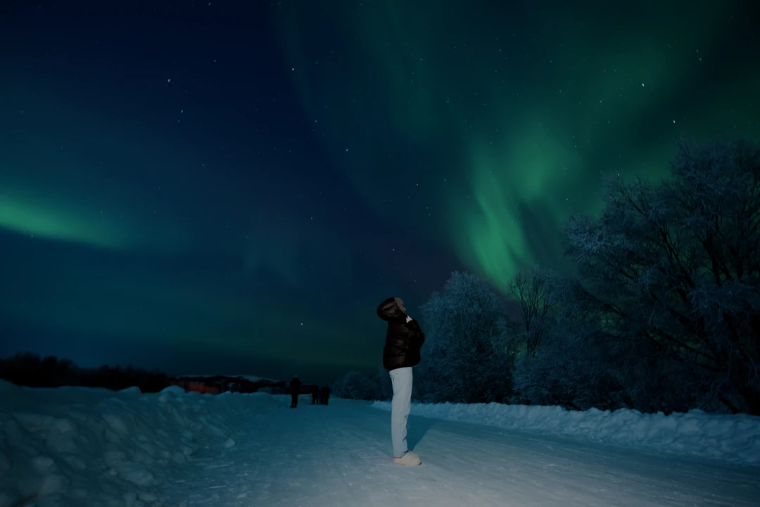 В погоню за полярным сиянием (Фисенко)