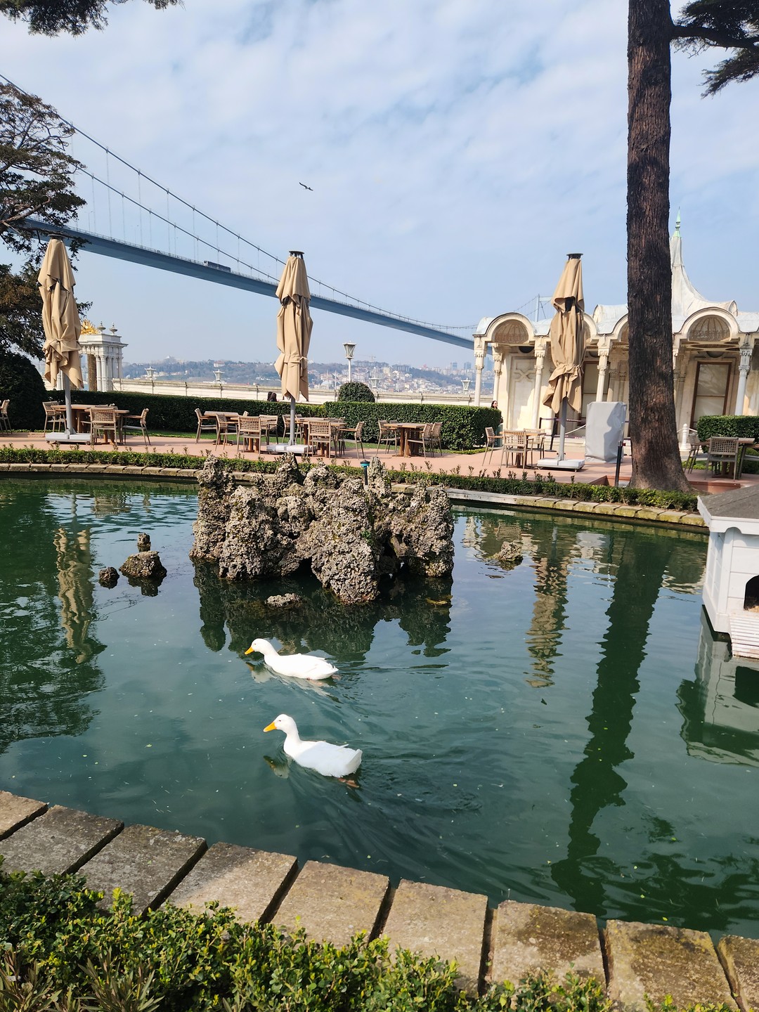 Отличный тур! Организатор была все время на связи. Все четко по времени. Замечательный гид, рассказал интересеые