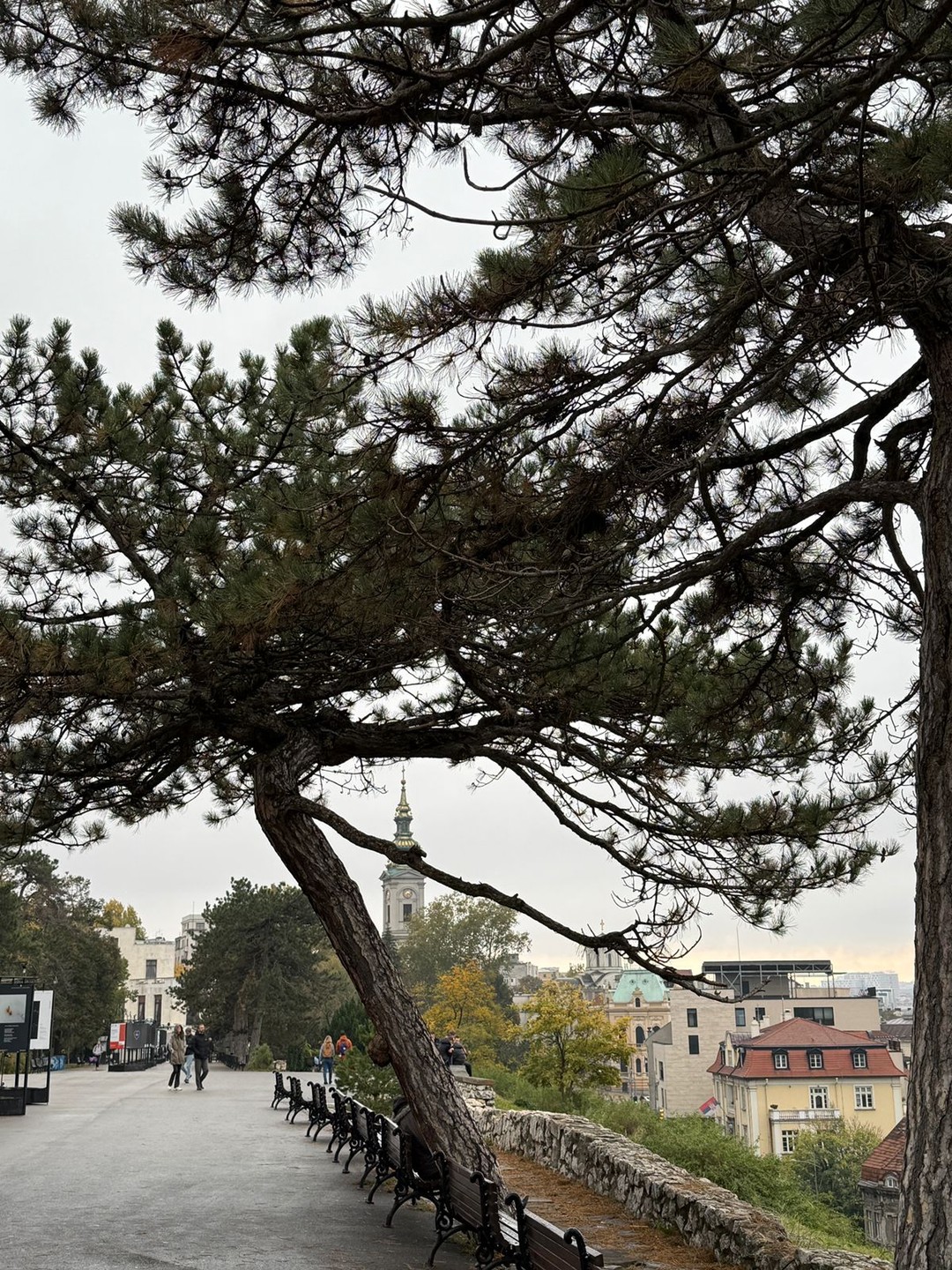 О Белграде с любовью (Елена)