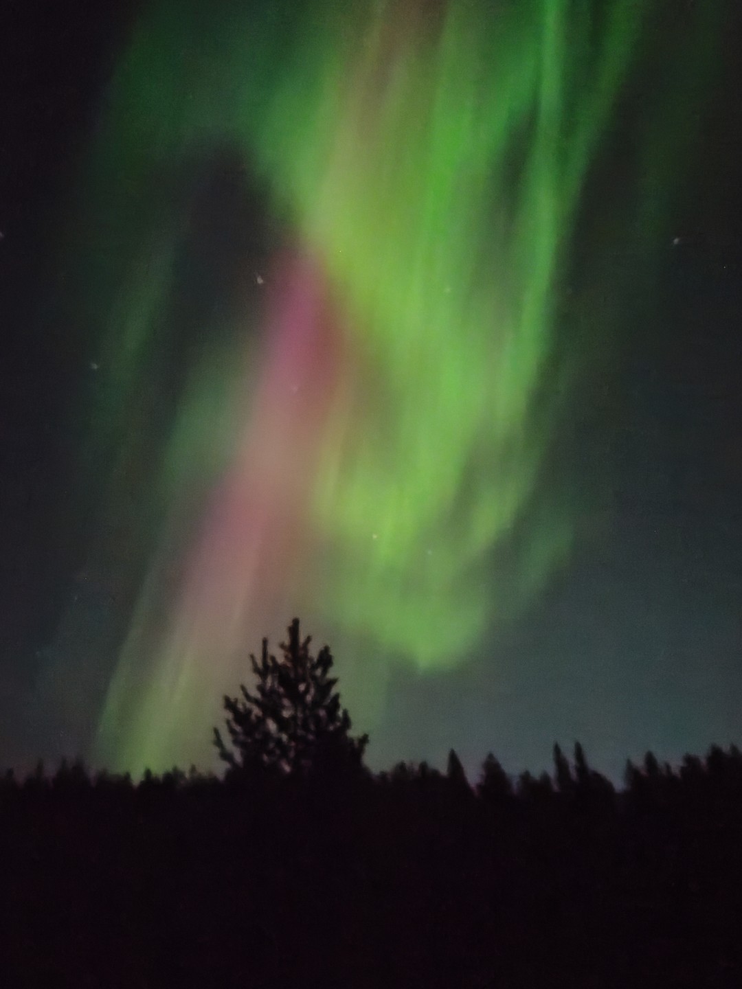 Завораживающее северное сияние (Оксана)