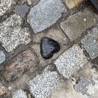 Фото отзыва 2: экскурсия "Лучший день в Калининграде: экскурсия по центру + дегустация сыра (всё включено)"