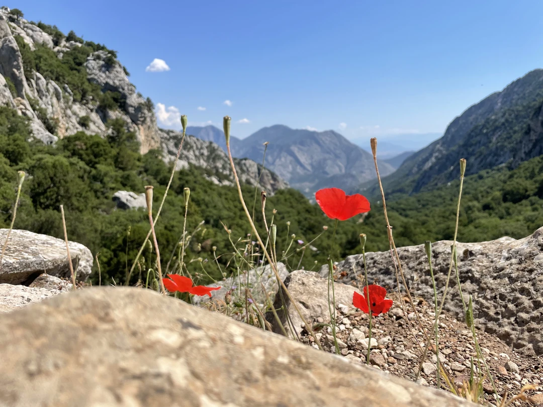 Отличная экскурсия для тех кто любит всякие древние древности) очень красиво и впечатляюще!