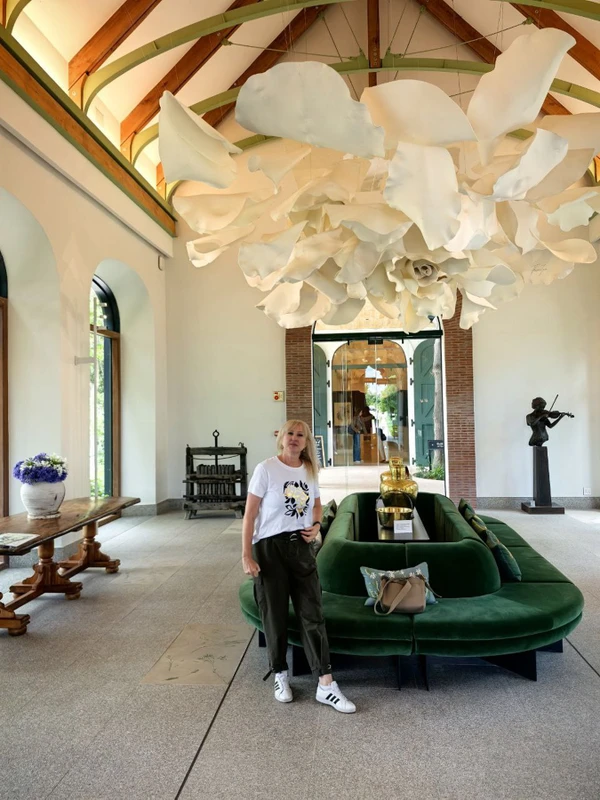 Бренди, истории и звёздный жираф