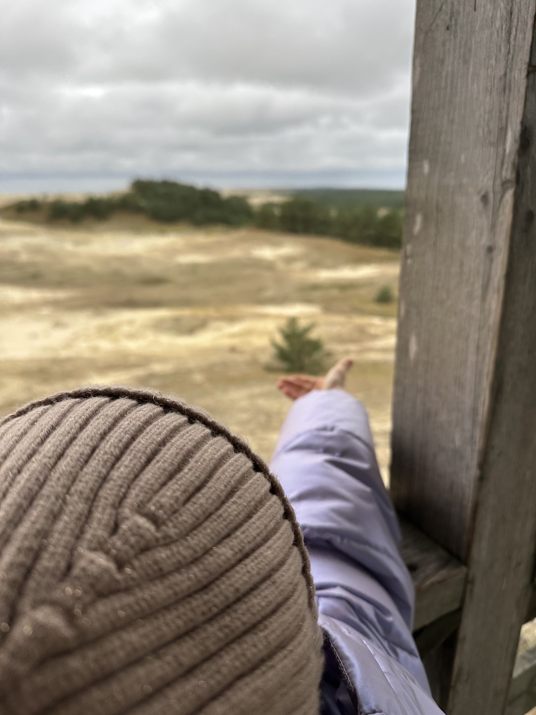 Куршская коса, Зеленоградск и замок Нессельбек - влюбиться за один день (Алсу)