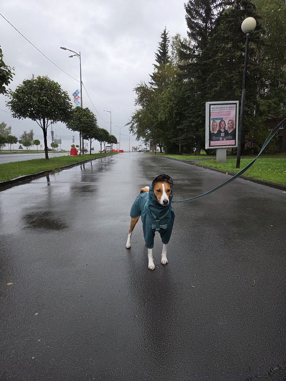 Полина провела замечательную экскурсию, показала все самые лучшие места, рассказала про них, отвечала на вопросы и