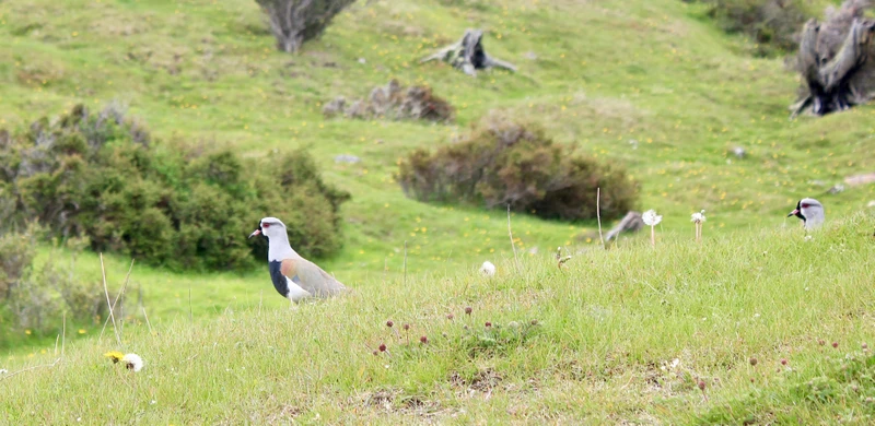 Треккинг между двумя океанами: залив Бигль во всей красе