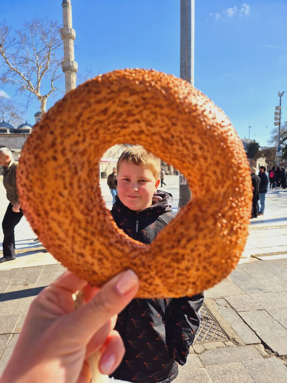 Замечательная экскурсия. Насыщенный маршрут. Прокатились на трамвае, дважды на пароме. Побывали на смотровой, видели многовековые деревья