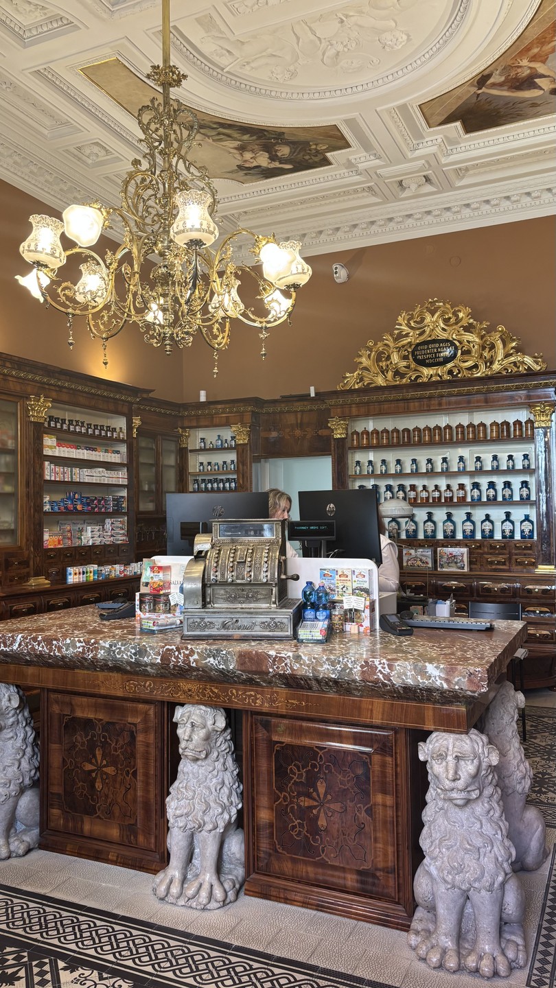 Понравилась экскурсия, не ожидали, что старый город Братислава такой красивый и интересный, с очень большой историей