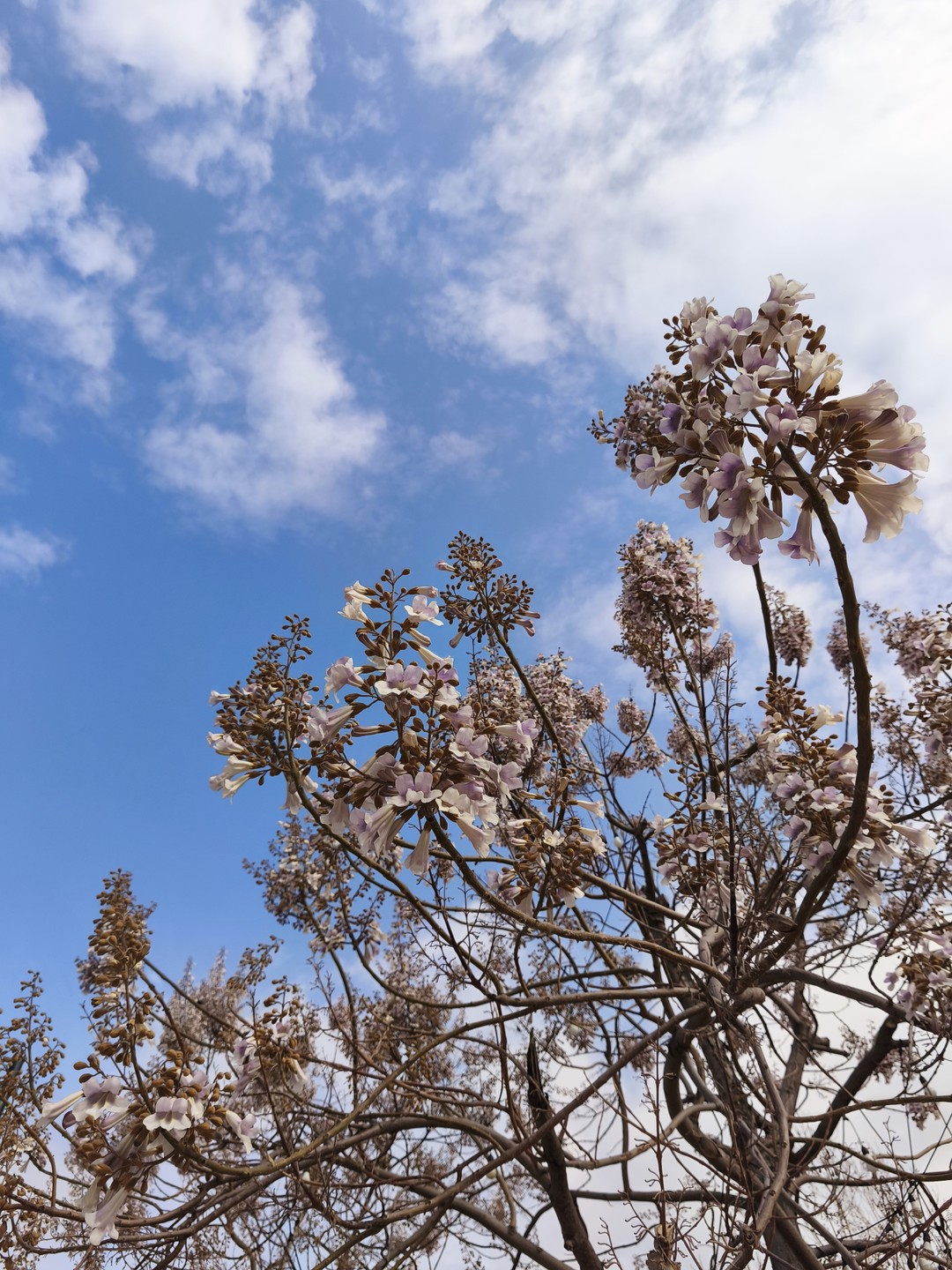 Спасибо Артёму за эти невероятные почти 5 часов экскурсии по прекрасному городу Ташкет. Прекрасный, тактичный экскурсовод! Советую