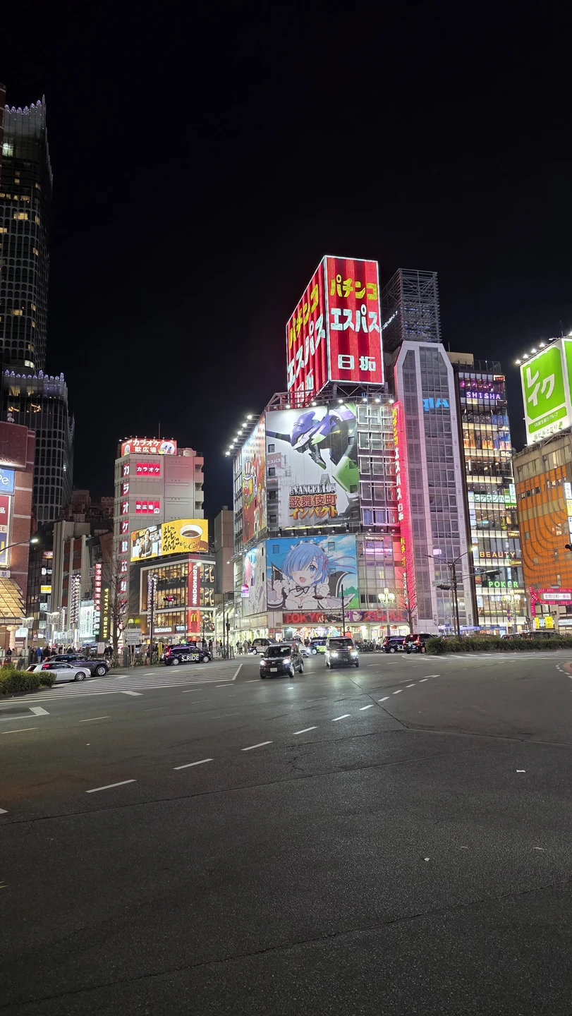 Экскурсия очень понравилась. Дмитрий провел по всем популярным местым, рассказал о ночном Токио, о котором сами