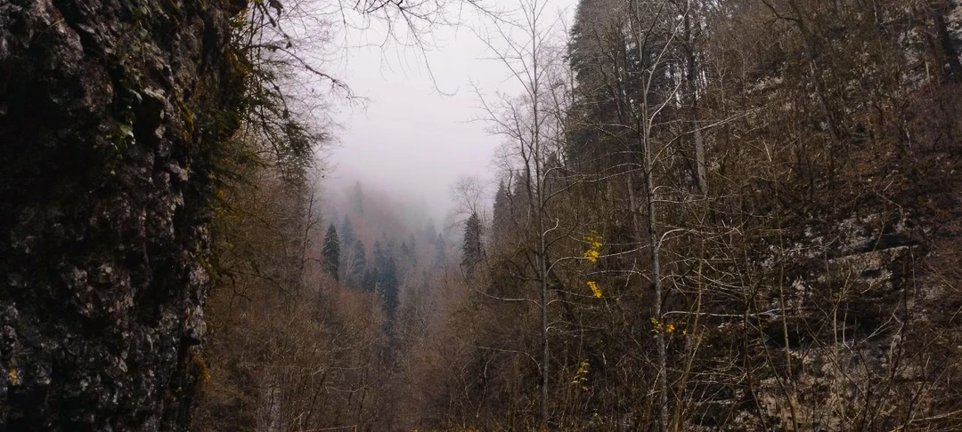 Очень понравилось! Ездили 15 ноября, боялись, что будет уже не так красиво как, например, весной или