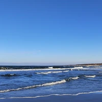 Фото отзыва 1: экскурсия "Успеть всё! Большая обзорная экскурсия от Калининграда до окрестностей"