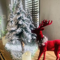 Фото отзыва 3: экскурсия "«Мысхако» + «Шато Пино»"