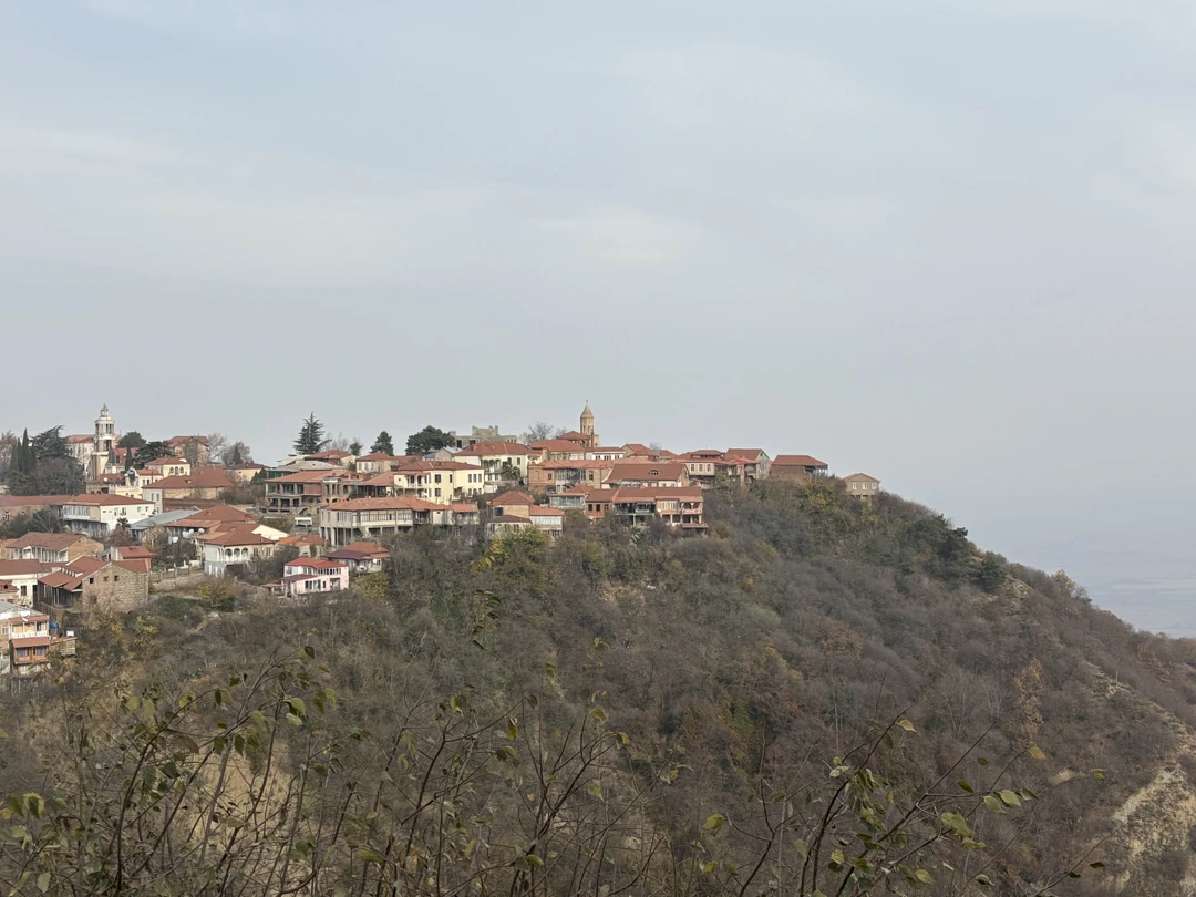 Экскурсия отличная, городок Сигнахи - прелесть. Даже поздней осенью- а мы были в конце ноября, он прекрасен и виды из него на Алазанскую Долину тоже