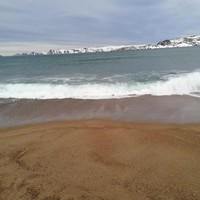 reviews img