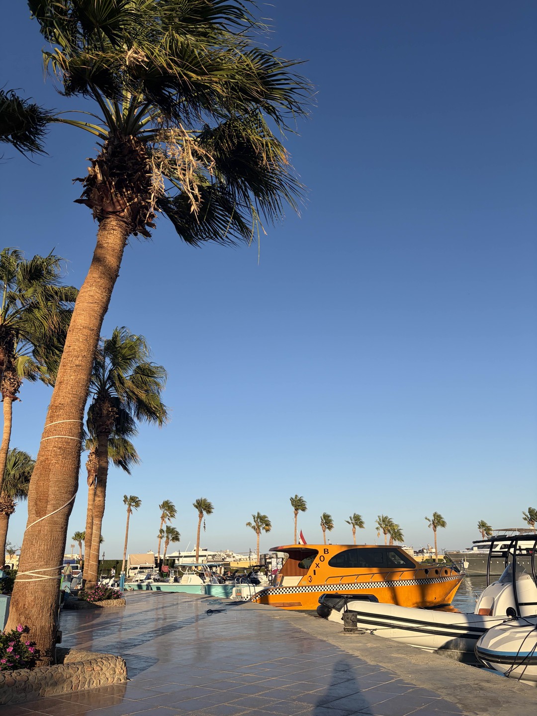 Ольга и Сабина, большое вам спасибо🙏получилось не просто экскурсия, а встреча «старых знакомых»- легко, непринужденно, интересно