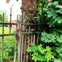Фото отзыва 3: экскурсия "Вдохновляющий Амалиенау"