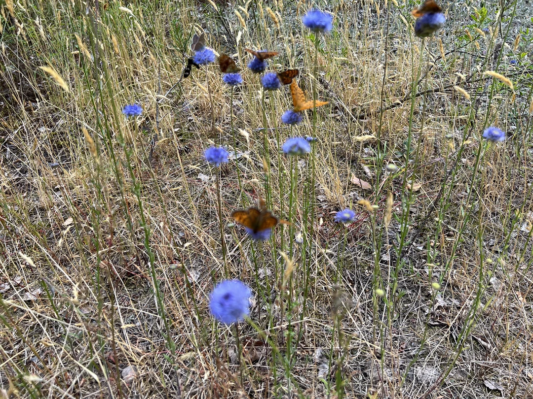 Провели восхитительный день на природе! Велопрогулка по озерам очень понравилась всем. Прекрасно организовано, подготовлено, маршрут удобный,