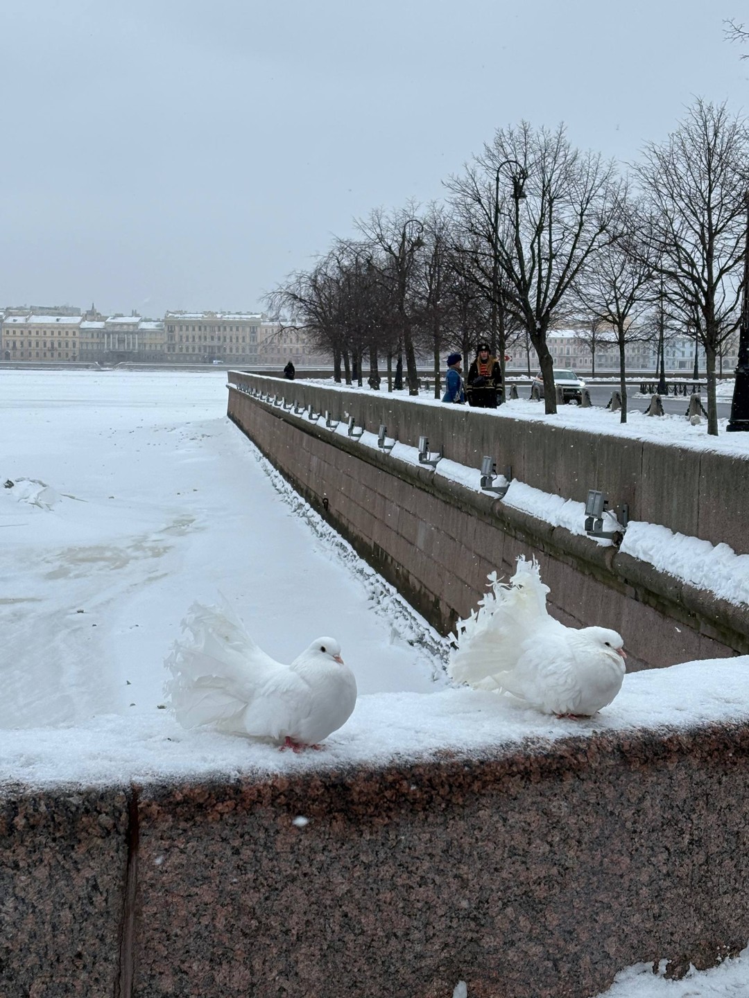 Автобусная экскурсия с посещением Петропавловской крепости (Анна)