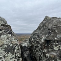 reviews img