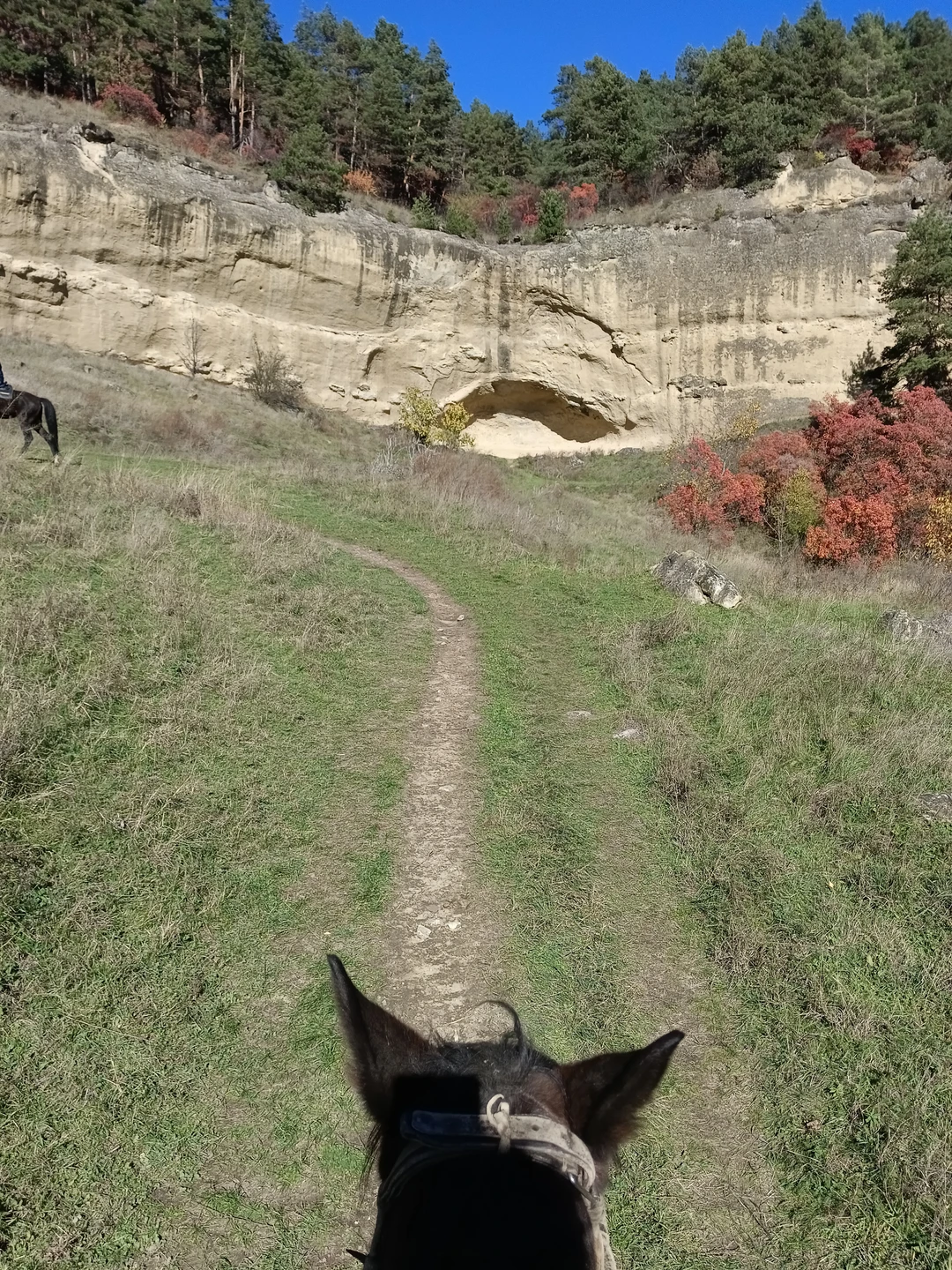Спасибо за красивую прогулку. Сын очень доволен. Лошади спокойны и легко управляемы