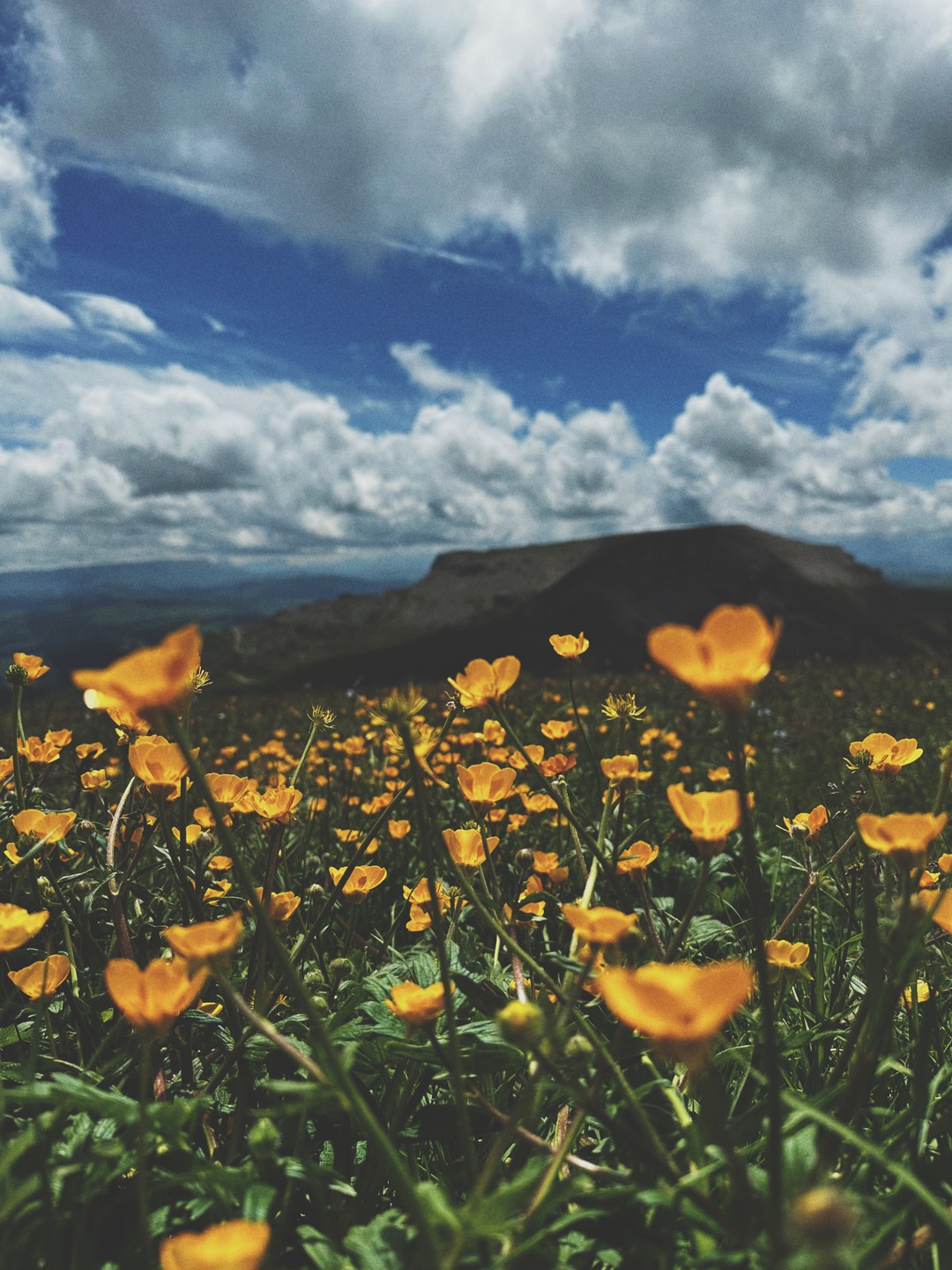 Посетили данную экскурсию 27.06. Дорога была хоть и сложная, но невероятно красивая. Нас провезли по необычному